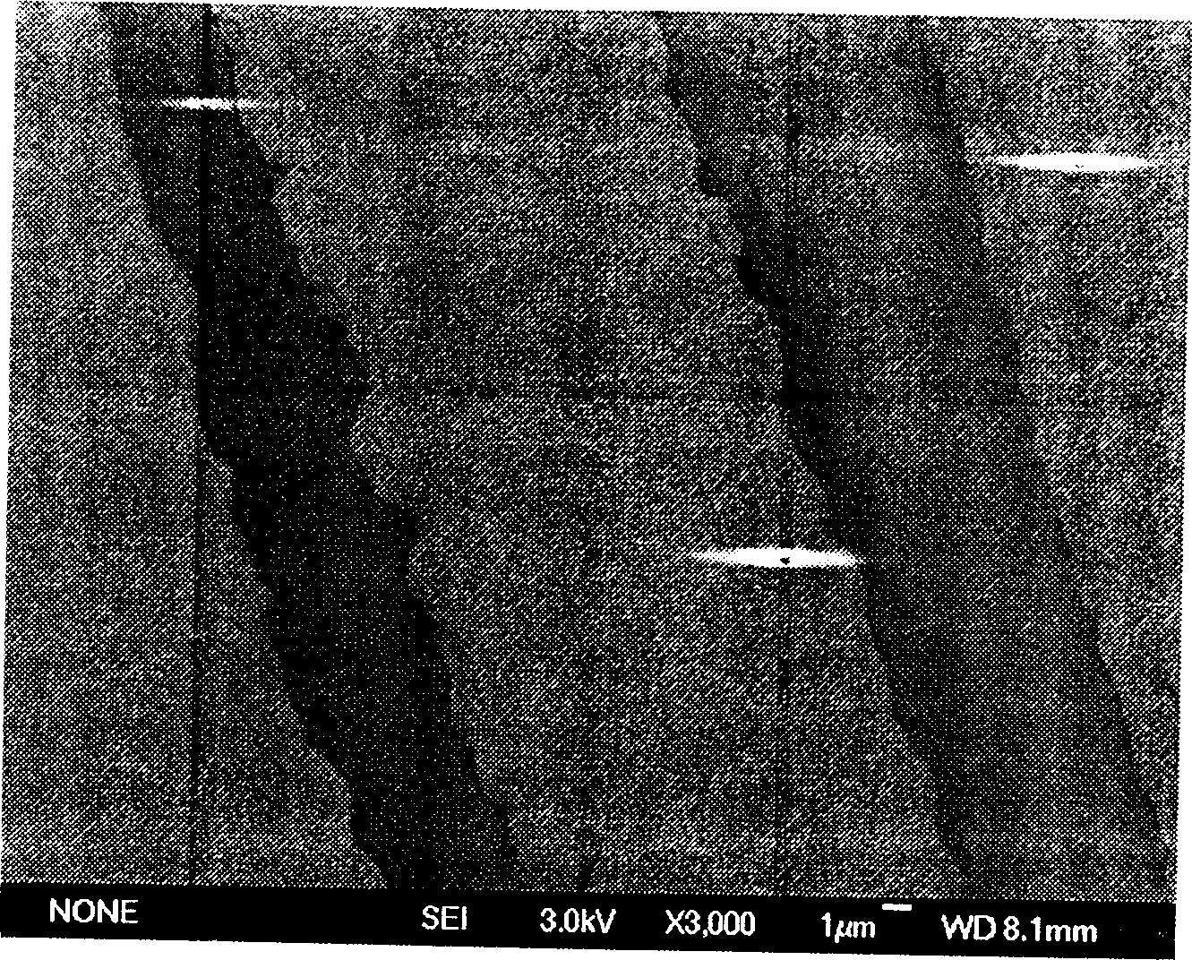 Production process of conductive fabric via plasma treatment