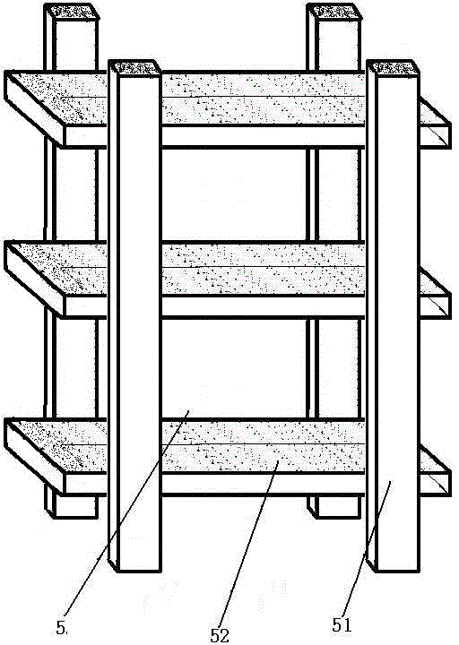 Greenhouse planting method of cedrela sinensis