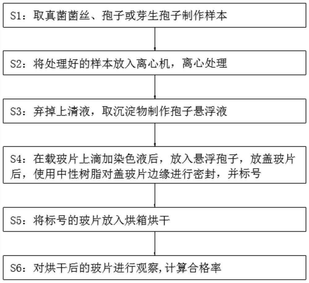 Manufacturing method of permanent slide specimen