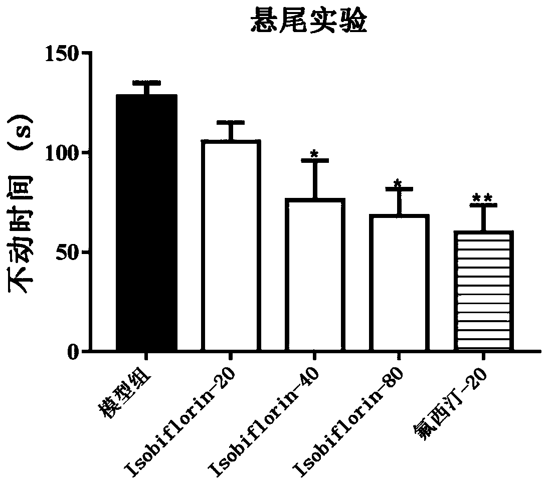 Application of isobiflorin or pharmaceutically acceptable salt of isobiflorin from qi-regulating medicine in preparation of antidepressant pharmaceutical composition