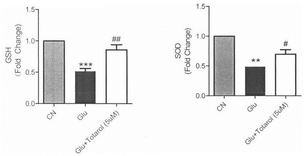 Application of totarol to preparation of drug for preventing and treating ischemic cerebral apoplexy