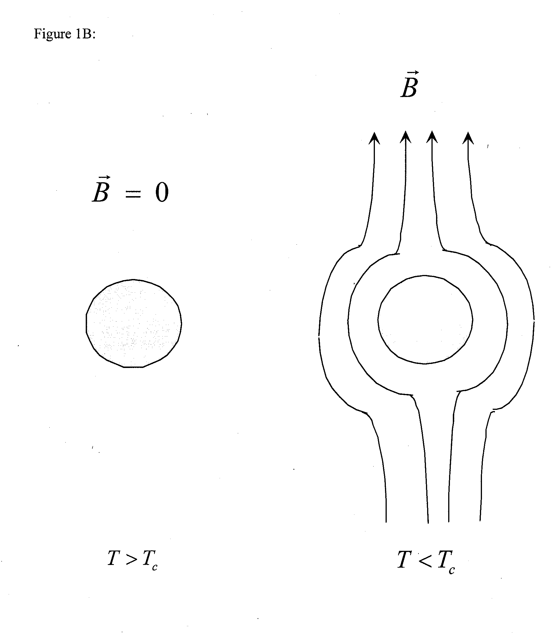 Superconducting radial motor