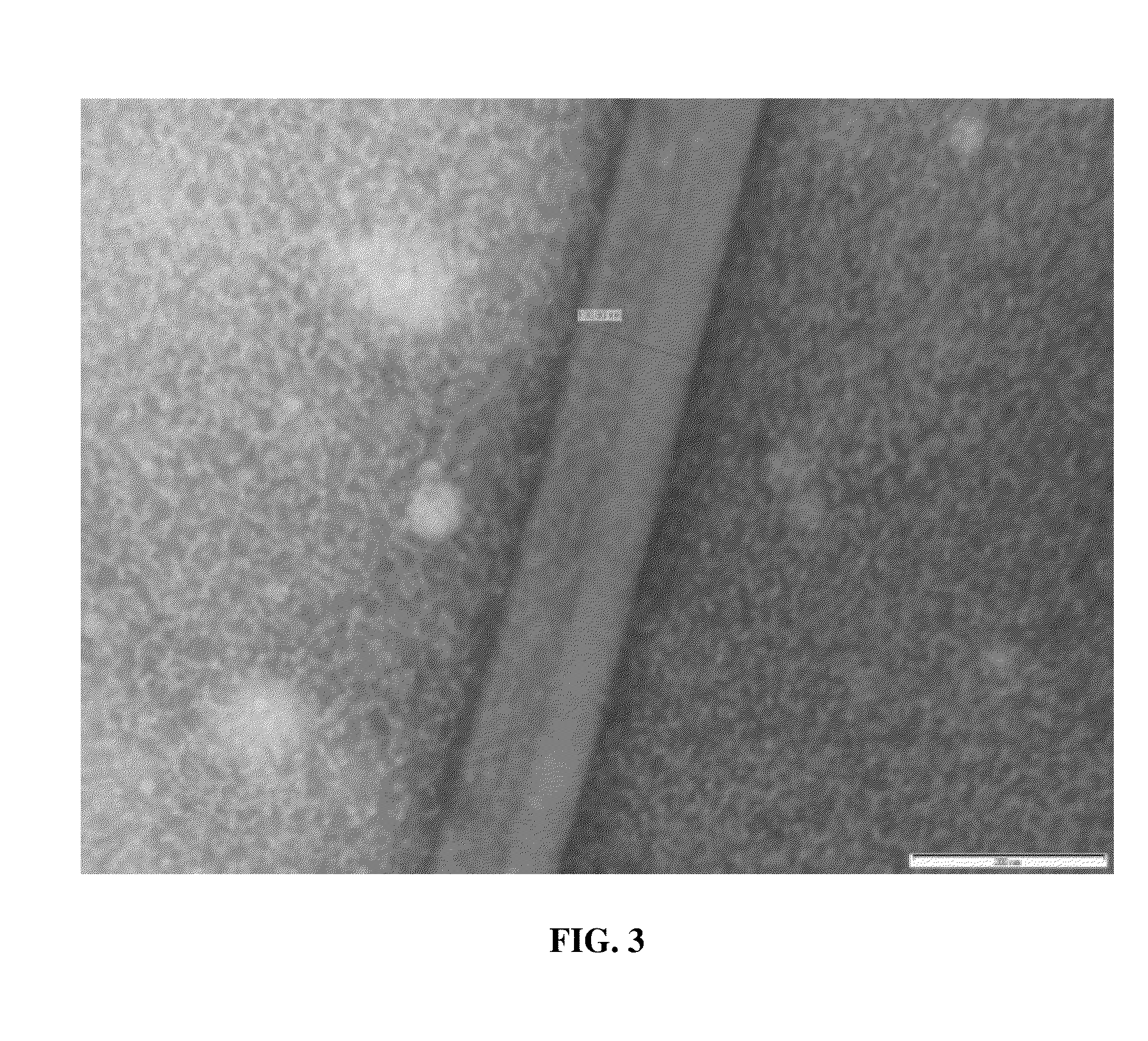 Intra-mammary teat sealant formulation and method of using same to reduce or eliminate visual defects in aged cheeses