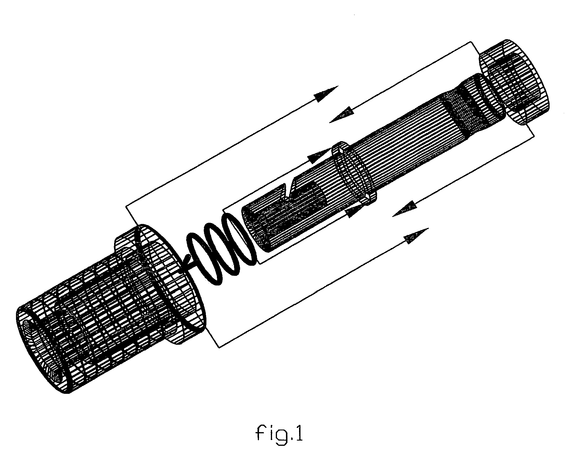 Fish stringer system