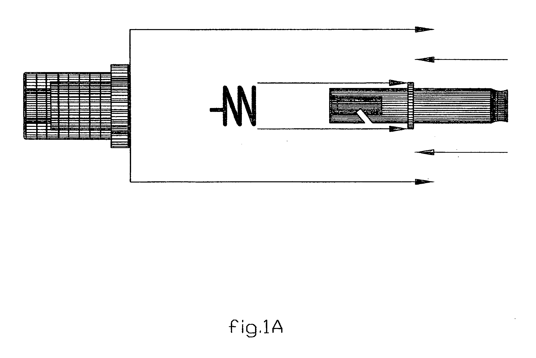 Fish stringer system