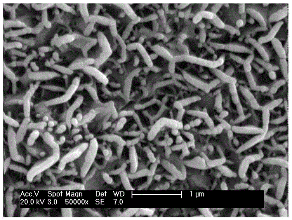 A large-scale preparation method of superhydrophobic surface of aluminum foil fin group of heat exchanger