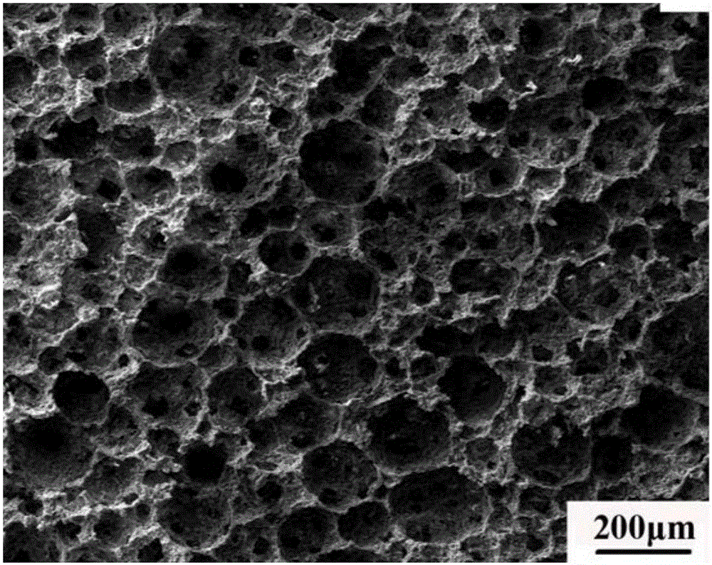 Method for preparing iron tailing porous ceramic through foam-gelcasting/low-temperature sintering