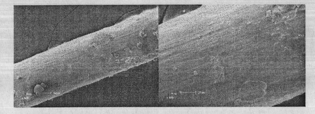 MOFs material-based series molecular sieve and preparation method and application method thereof in complex sample purification and separation analysis