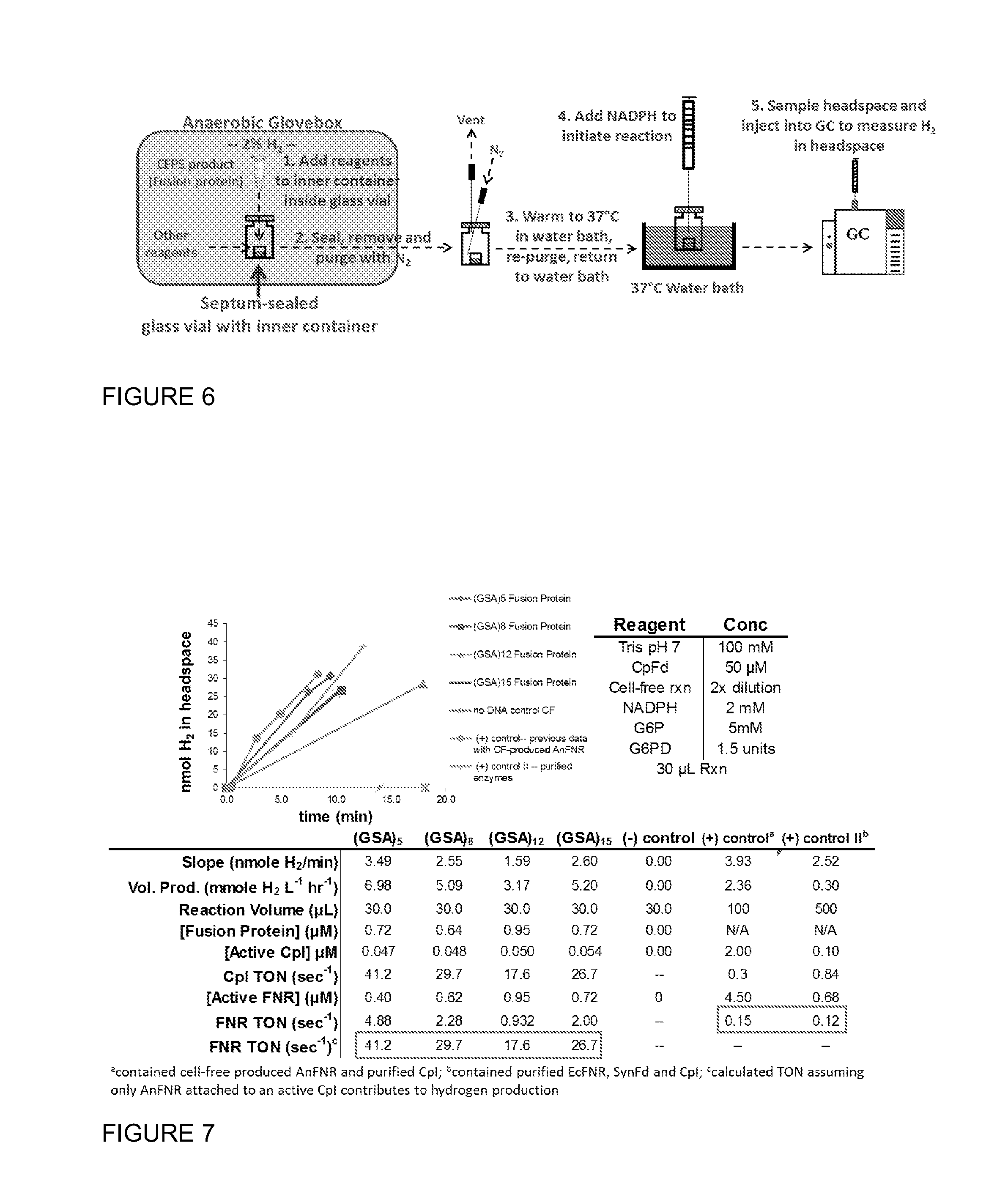 Hydrogenase Fusion Protein for Improved Hydrogen Production