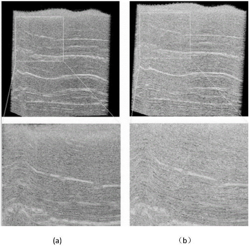 Tensor-approximation-based multi-solution body drawing method of mass data