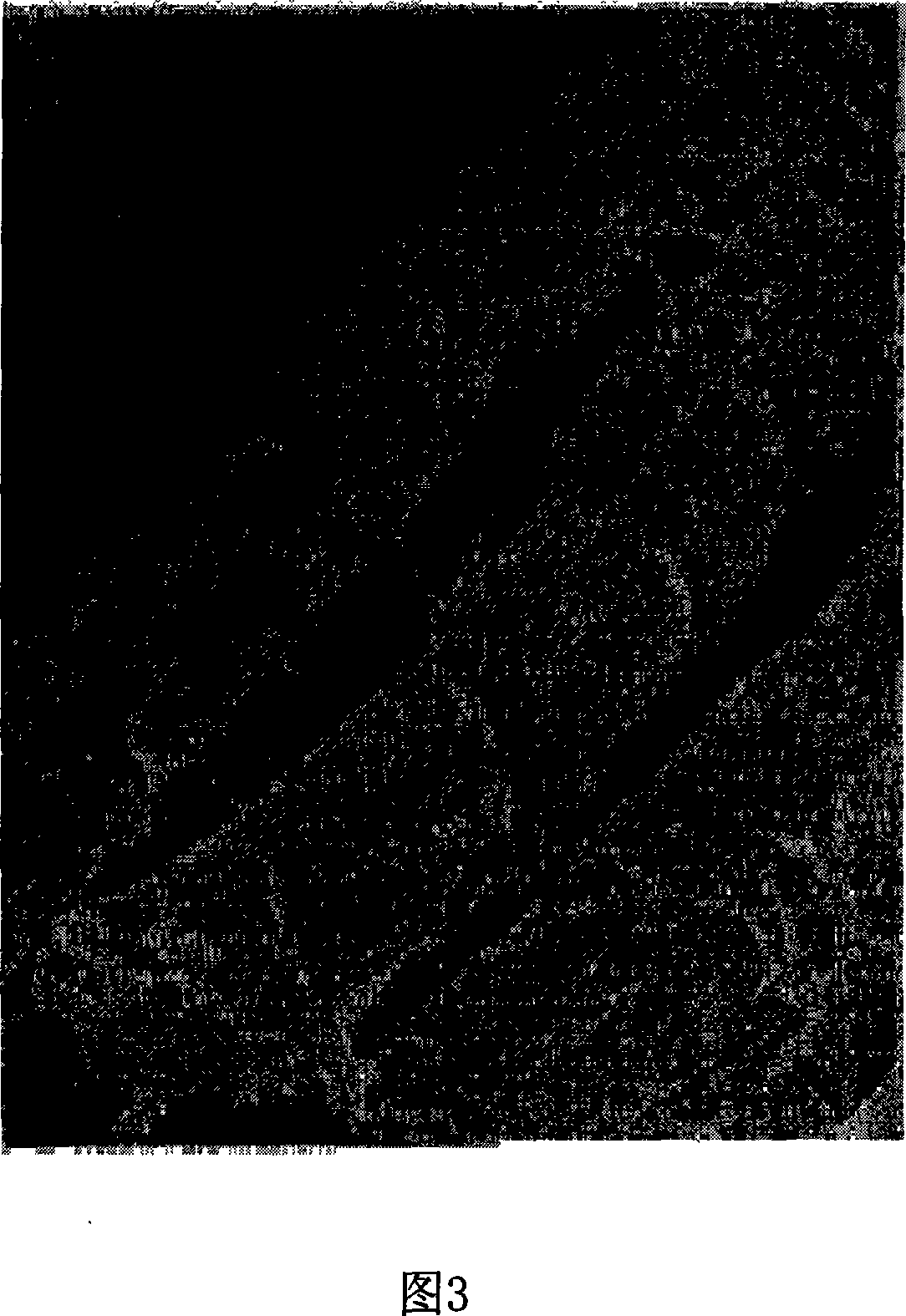 Paper made from collagen fiber and its processing method