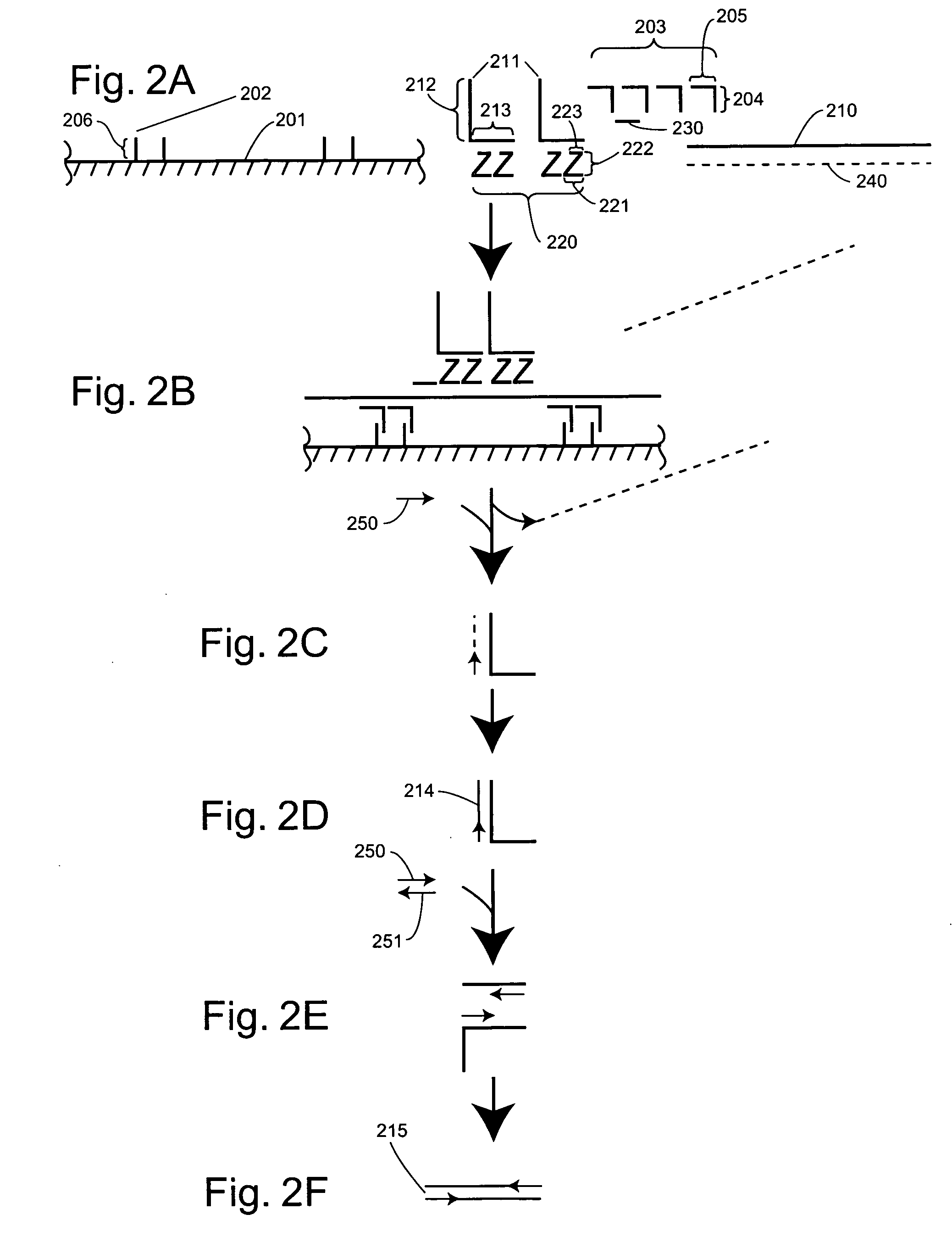 Detection of nucleic acids through amplification of surrogate nucleic acids