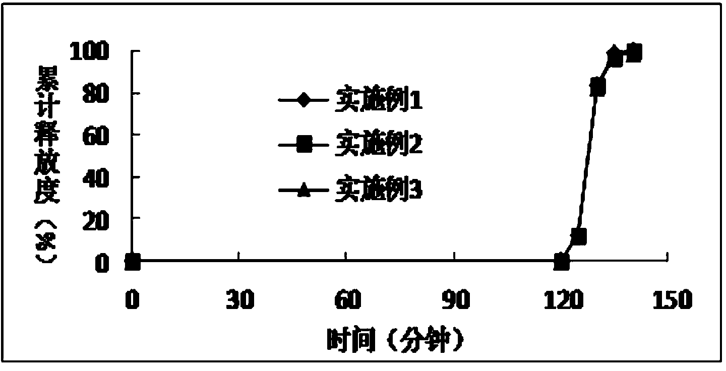 DMF (dimethyl fumarate) enteric-coated micropellet and preparation method thereof