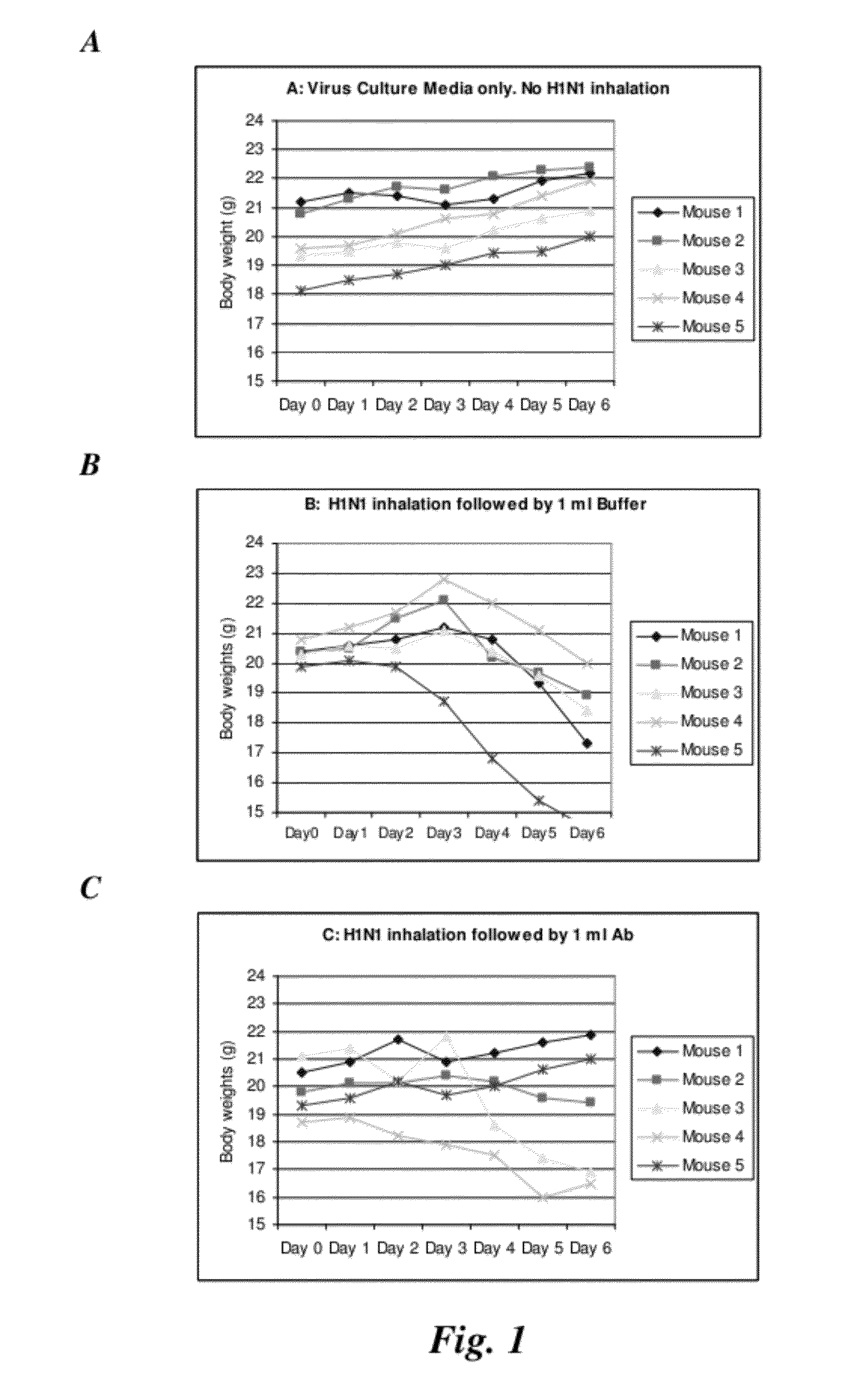 Affinity purified human polyclonal antibodies against viral, bacterial and/or fungal infections and methods of making and using the same