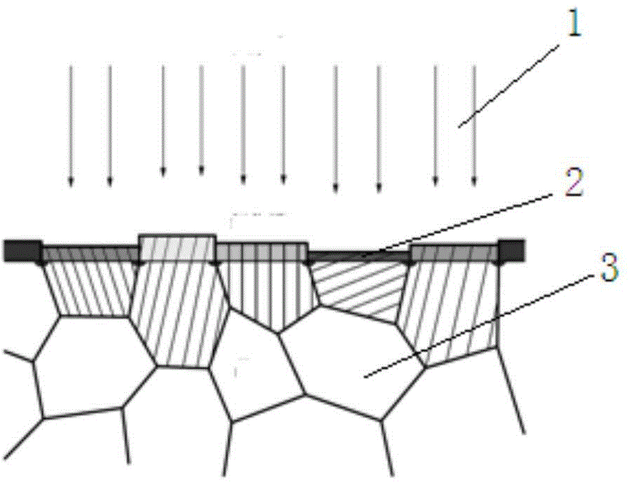 Preparation method of metallographic samples of zirconium and zirconium alloy