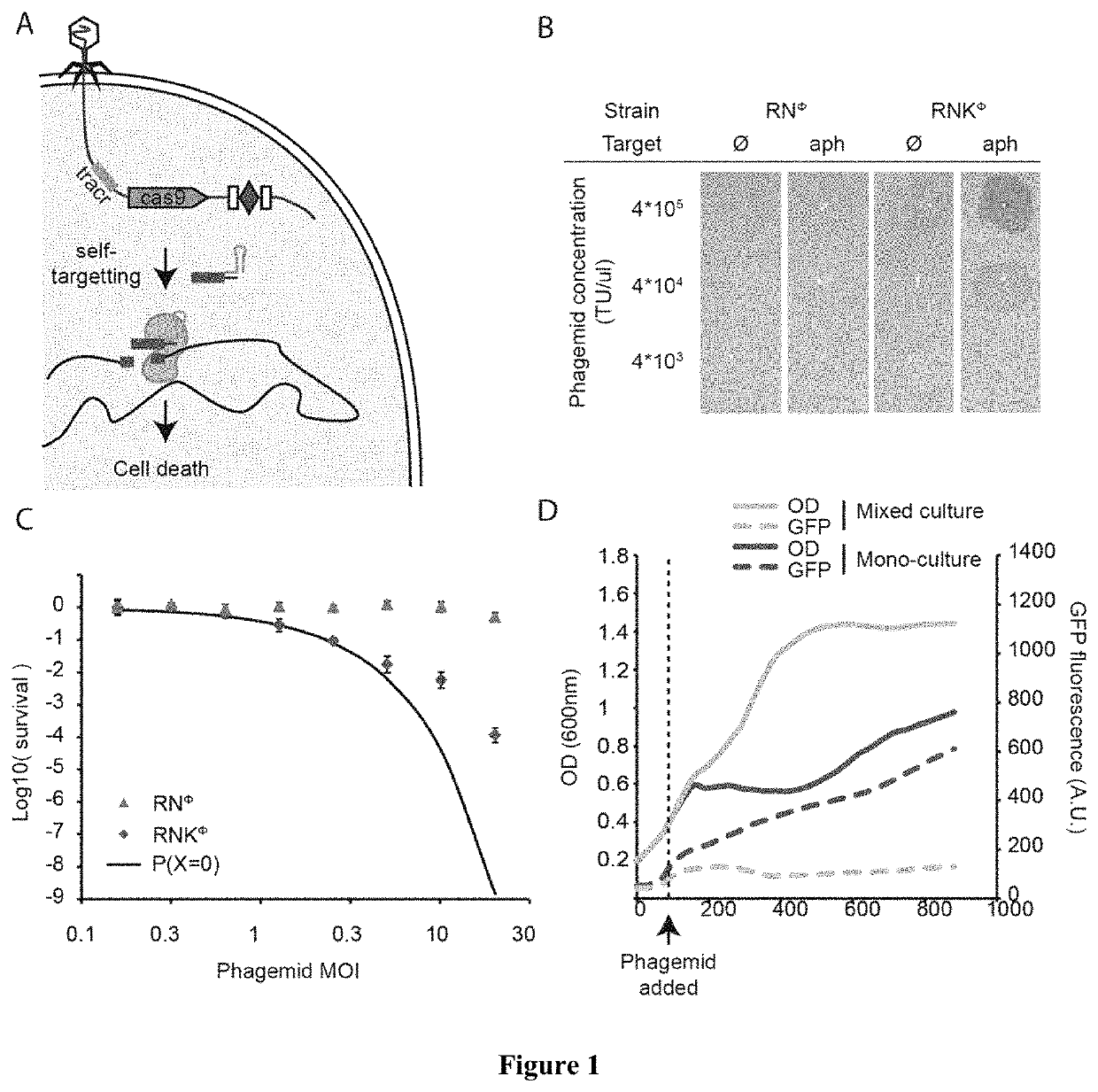 Sequence specific antimicrobials