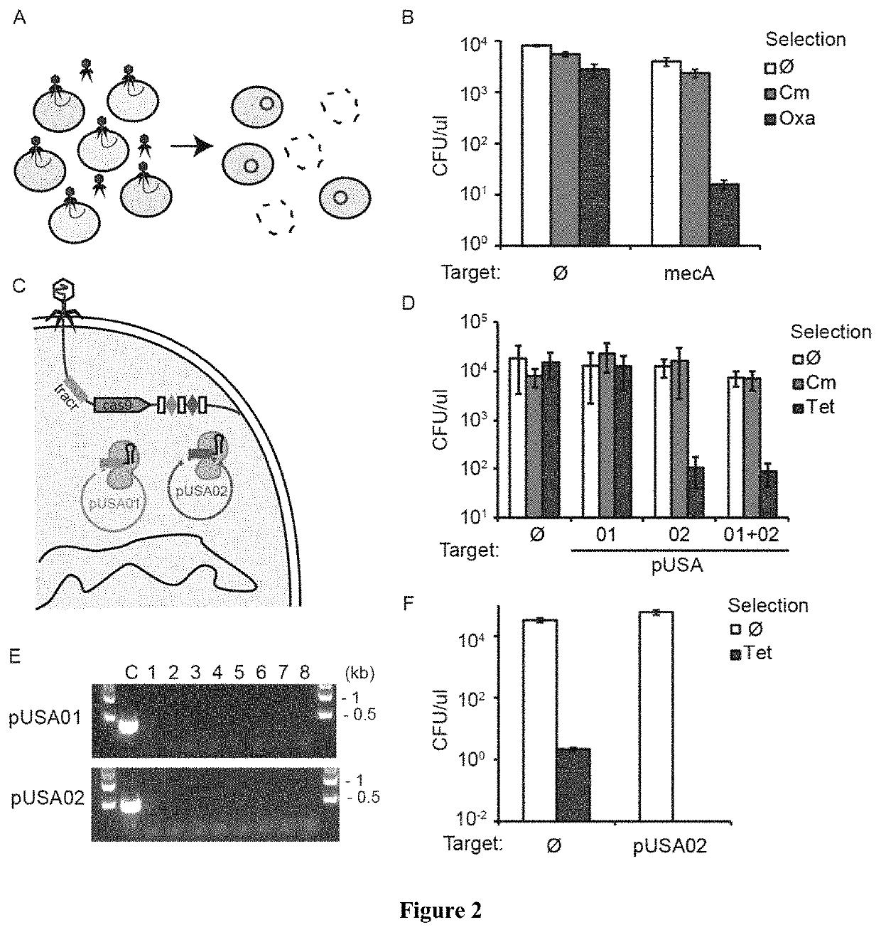 Sequence specific antimicrobials