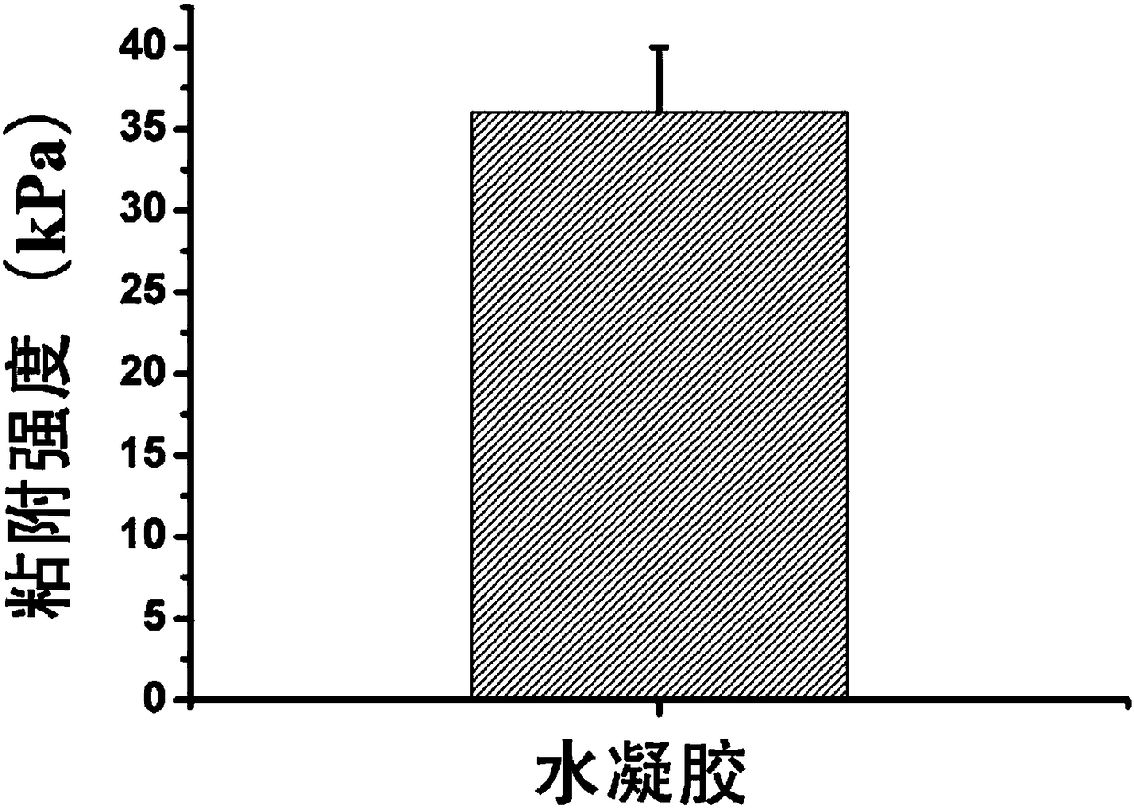 Rapidly degradable chemical bond based PEG hydrogel and preparation method and applications thereof