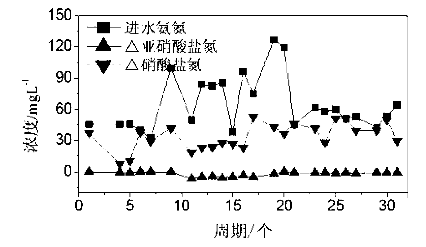 Normal temperature low-ammonia-nitrogen nitrosation starting method