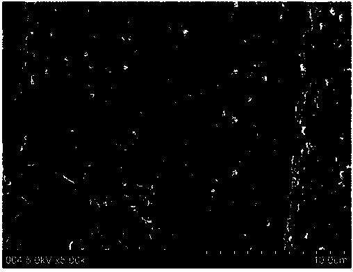 Method of preparing high-performance glass-fiber reinforced polyamide conductive composite