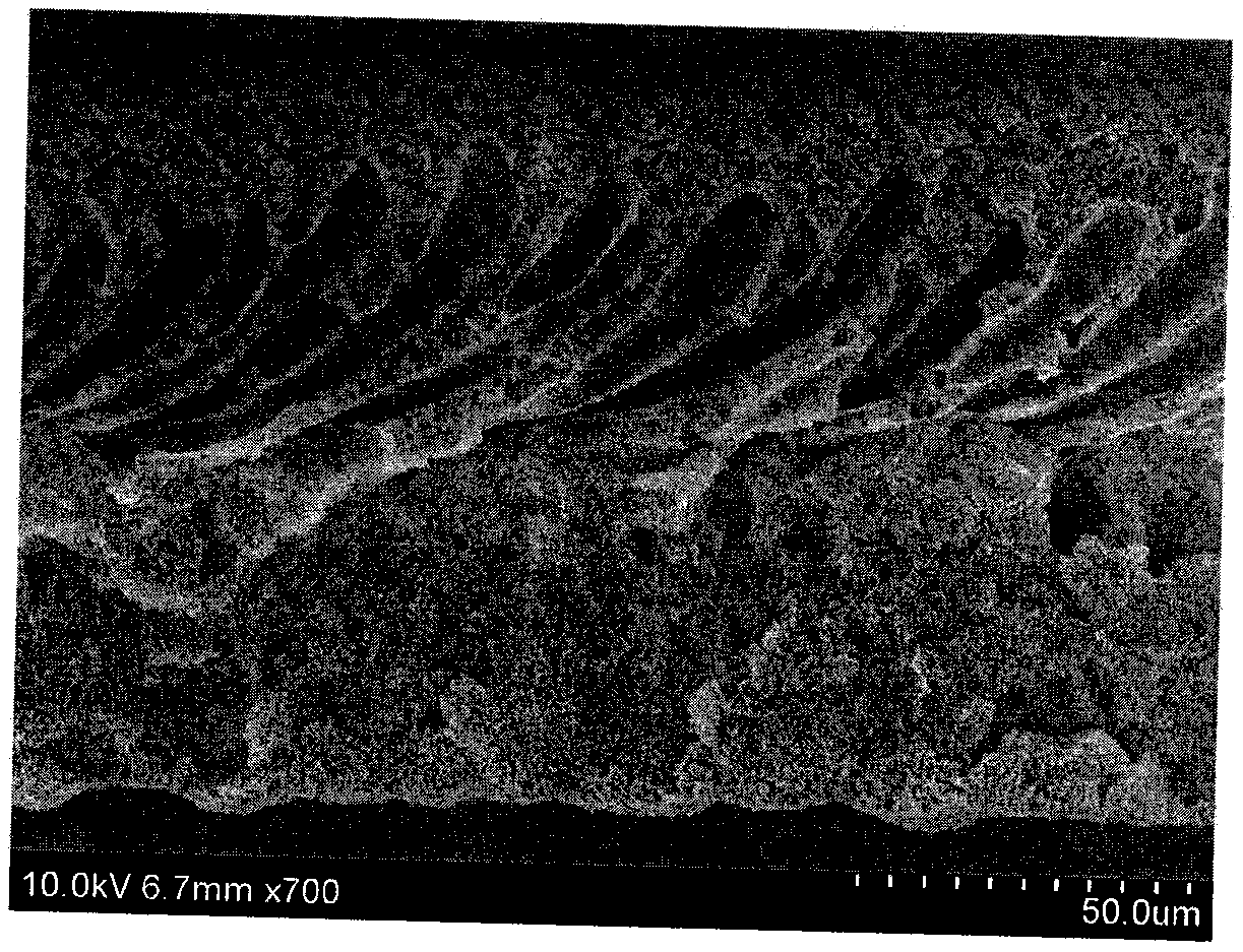 Anti-pollution photocatalytic degradation blended membrane