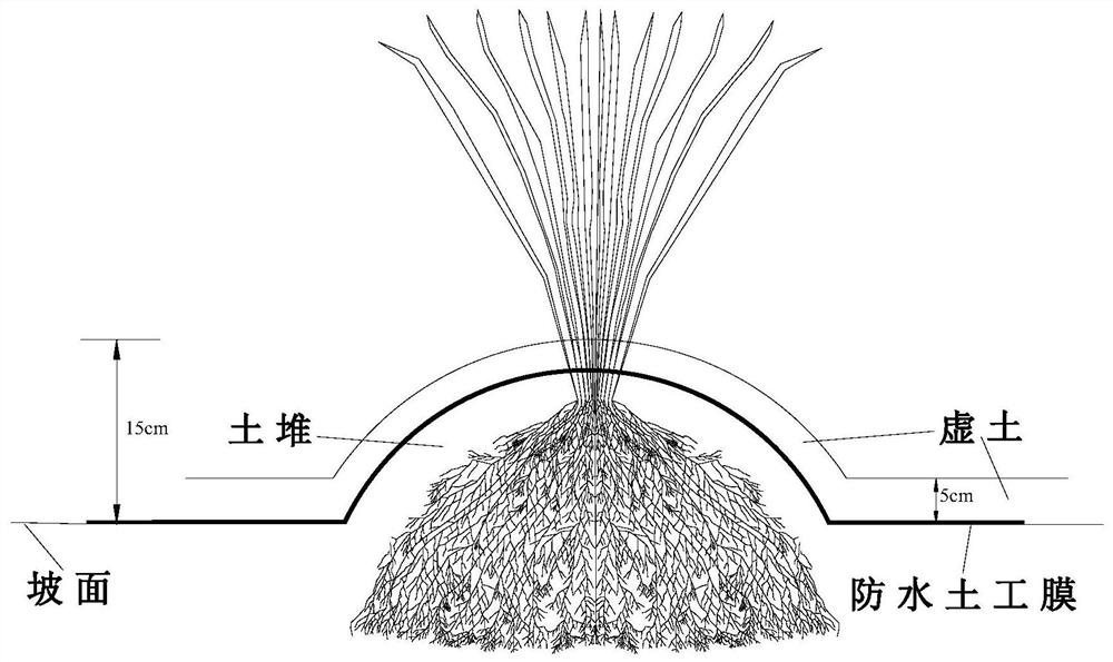 An ecological slope protection structure and construction method for the prevention and control of expansive soil slope landslides