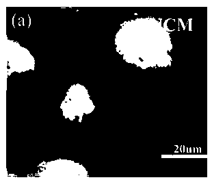 Quaternary lithium-rich manganese-based positive electrode material using Zn to replace Mn and preparation method of quaternary lithium-rich manganese-based positive electrode material