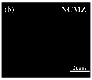 Quaternary lithium-rich manganese-based positive electrode material using Zn to replace Mn and preparation method of quaternary lithium-rich manganese-based positive electrode material