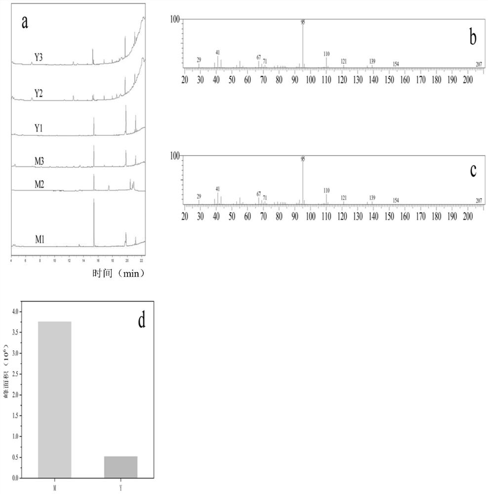 Method for screening genes related to synthesis of target compound and application