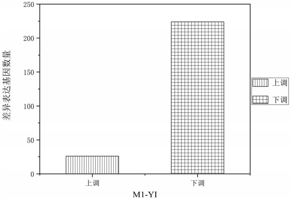 Method for screening genes related to synthesis of target compound and application