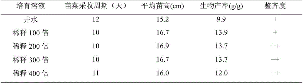 Sprouting vegetable cultivating bacteria agent and application thereof