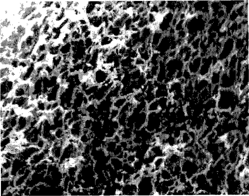 Polyimide porous membrane and lithium ion battery comprising same