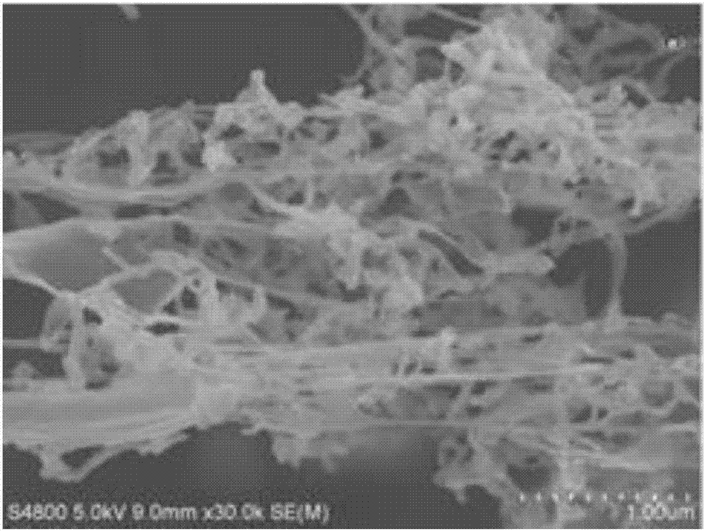 Porous artificial nerve stent and preparation method thereof