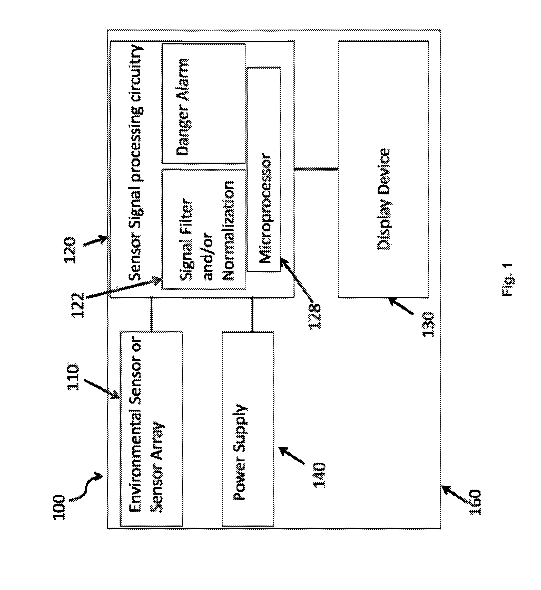 Environmental measurement display system and method