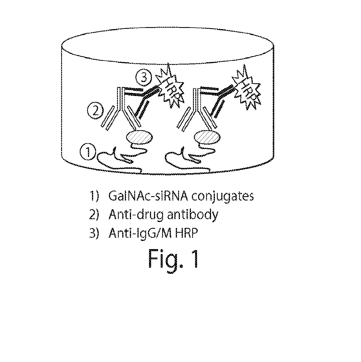 Methods and compositions for detecting Anti-drug antibodies