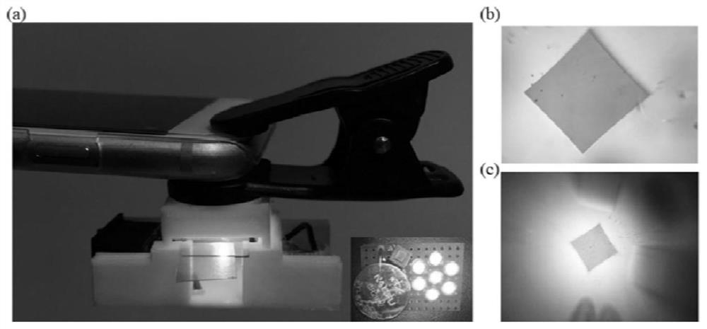 An ultra-short focal length dual-lens microscope system