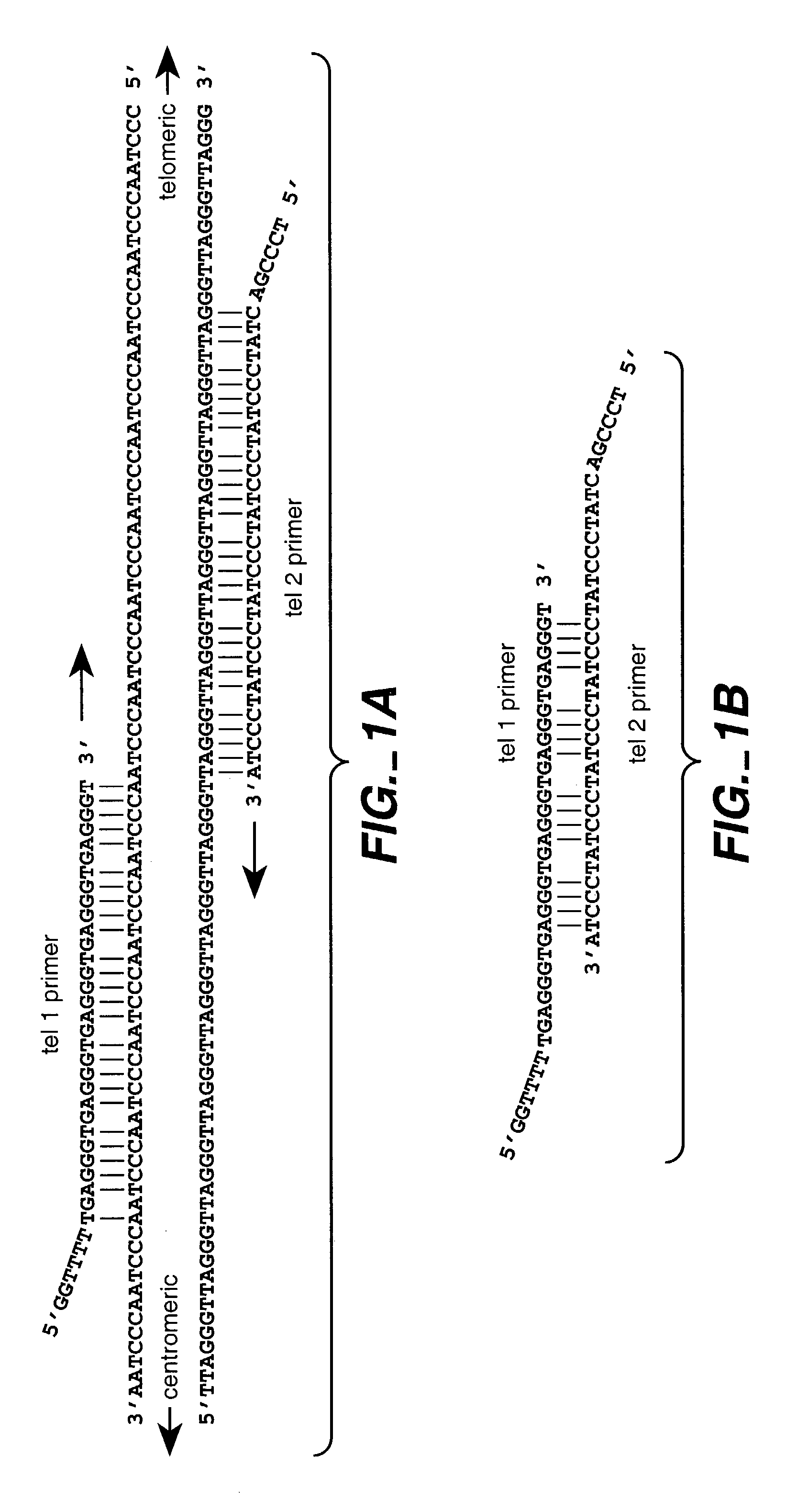 Reducing non-target nucleic acid dependent amplifications: amplifying repetitive nucleic acid sequences