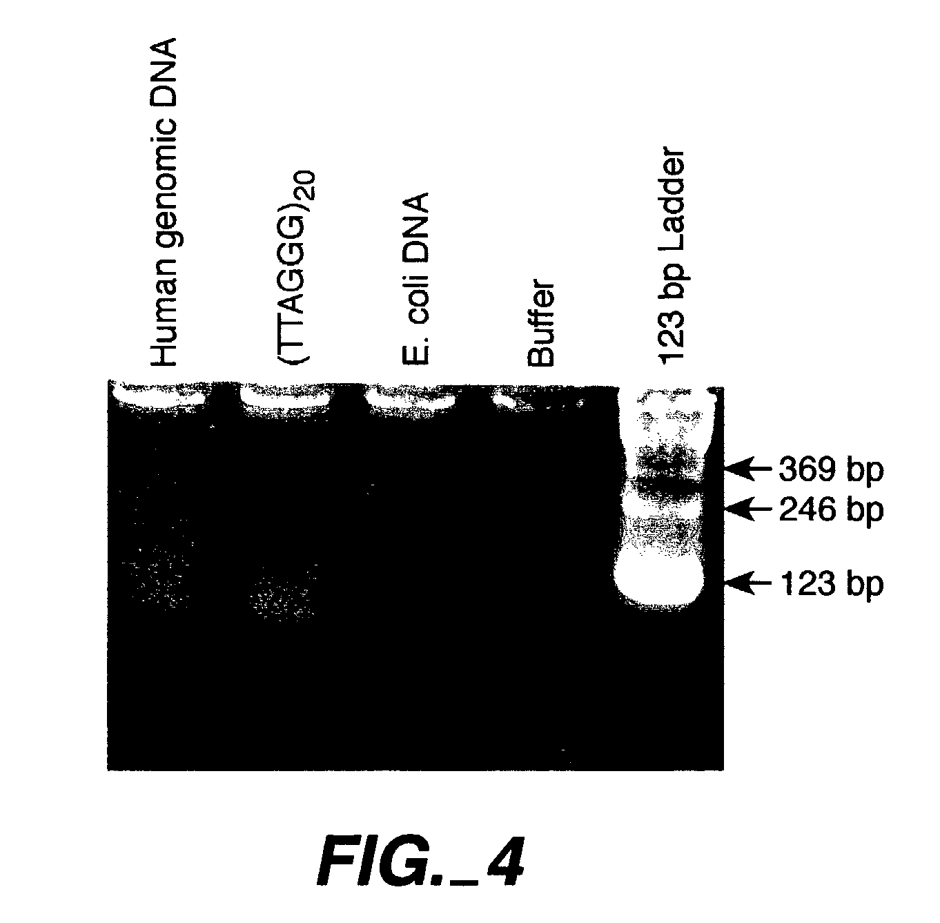 Reducing non-target nucleic acid dependent amplifications: amplifying repetitive nucleic acid sequences