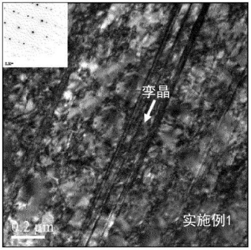 Austenitic stainless steel having improved hydrogen embrittlement resistance, and high-pressure hydrogen gas container comprising same