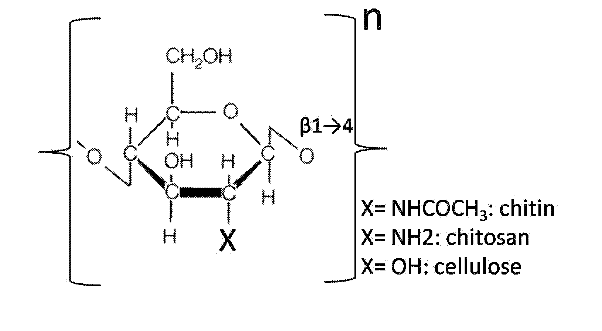 Chitosan biomimetic scaffolds and methods for preparing the same