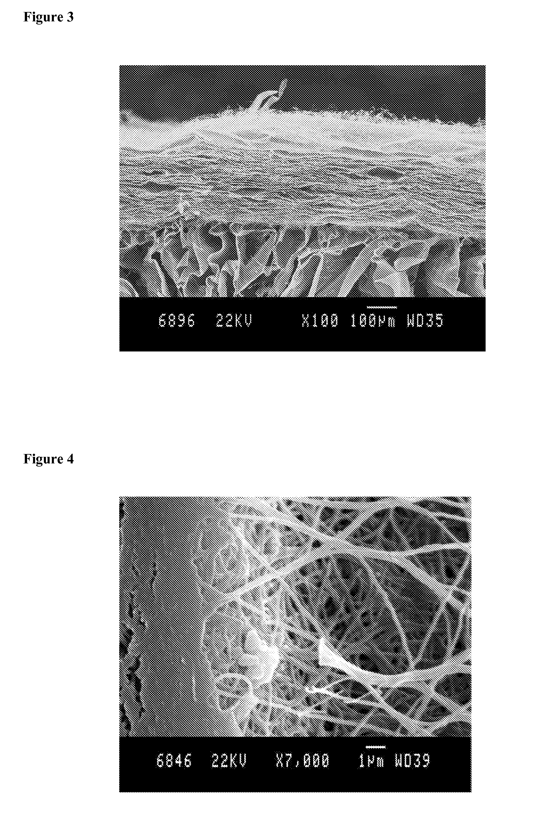 Chitosan biomimetic scaffolds and methods for preparing the same