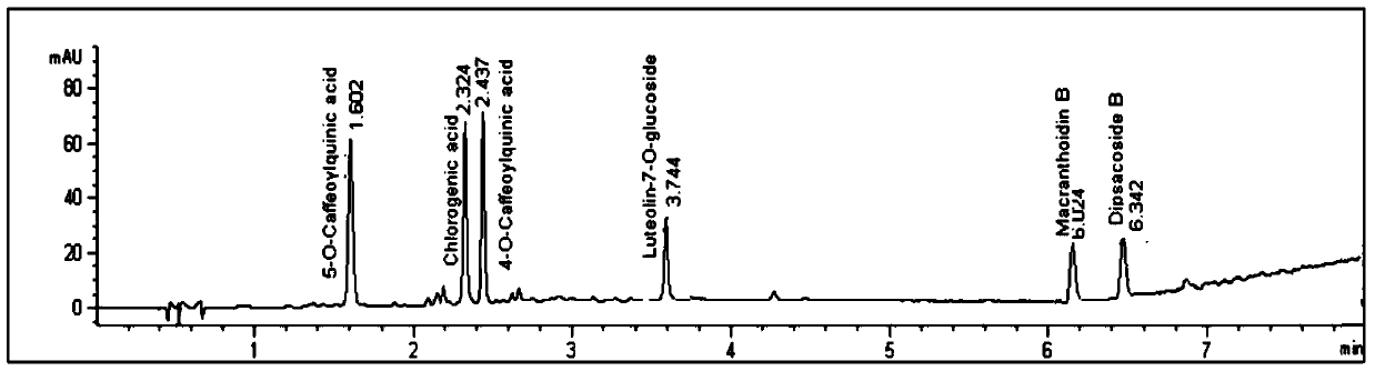 A method for detecting honeysuckle and mountain silver-flower medicinal materials by rapid high-resolution liquid chromatography