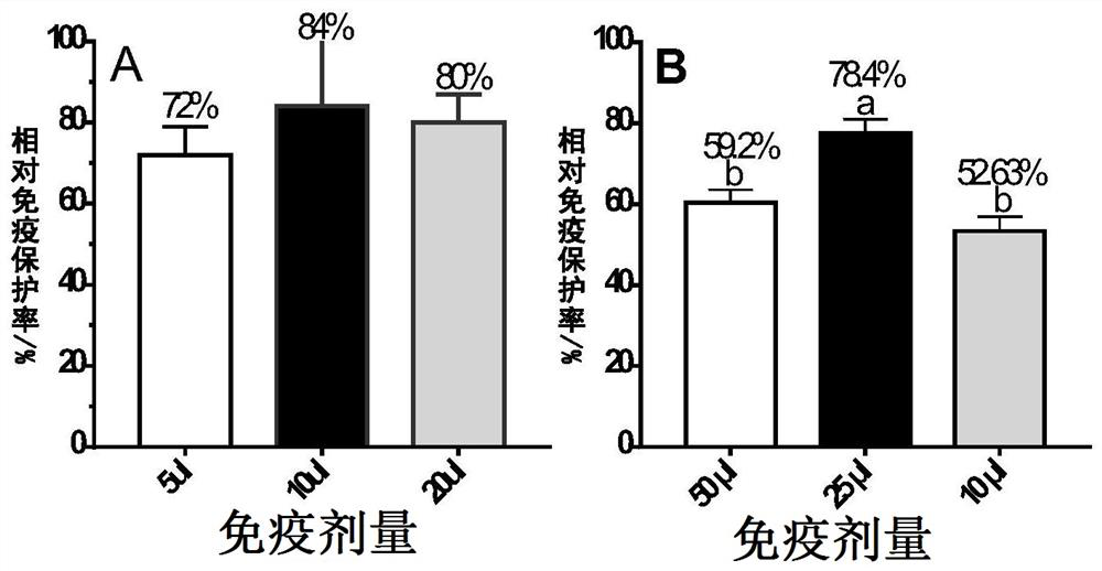 Infectious hematopoietic necrosis vaccine and method for amplifying infectious hematopoietic necrosis virus on epithelioma papulosum cyprini