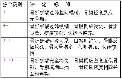 Application of pharmaceutical composition in preparation of medicines for treating bone fracture