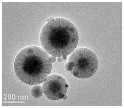 Functionalized dendritic mesoporous SiO2 immobilized-chloroperoxidase reactor with surface charge regulation and application thereof