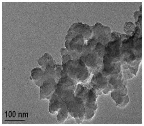 Functionalized dendritic mesoporous SiO2 immobilized-chloroperoxidase reactor with surface charge regulation and application thereof