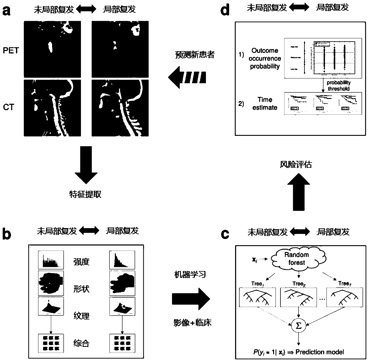 Local recurrence prediction device for head and neck cancer