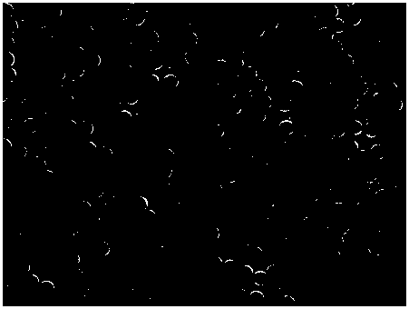 A kind of PVDF coated lithium-ion battery diaphragm and preparation method thereof