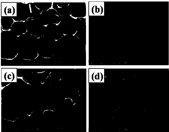 A kind of graphene band-modified polymer-based foam material and its preparation method and application