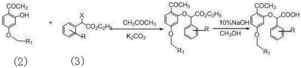 Phenoxyphenylacetic acid endothelin antagonist and its preparation method and application